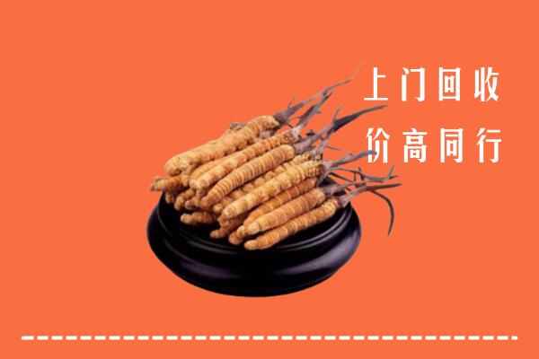 高价求购：道孚县回收散虫草
