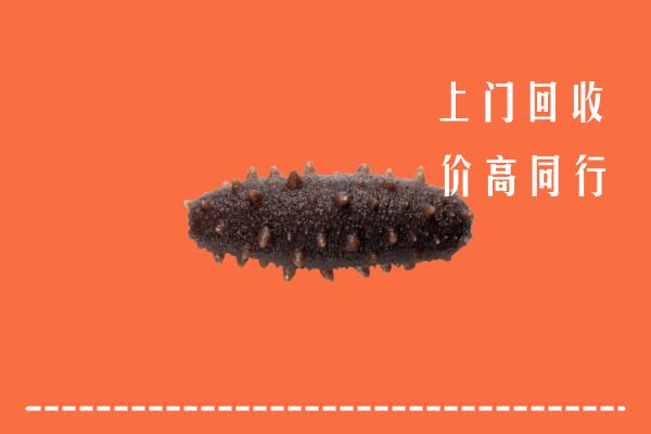 高价求购：道孚县回收海参