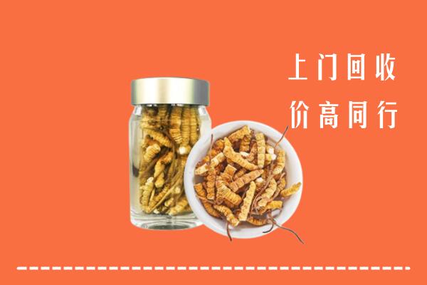 道孚县高价回收冬虫夏草